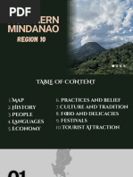 Overview of Region 10 Provinces and Cities | PDF | Philippines