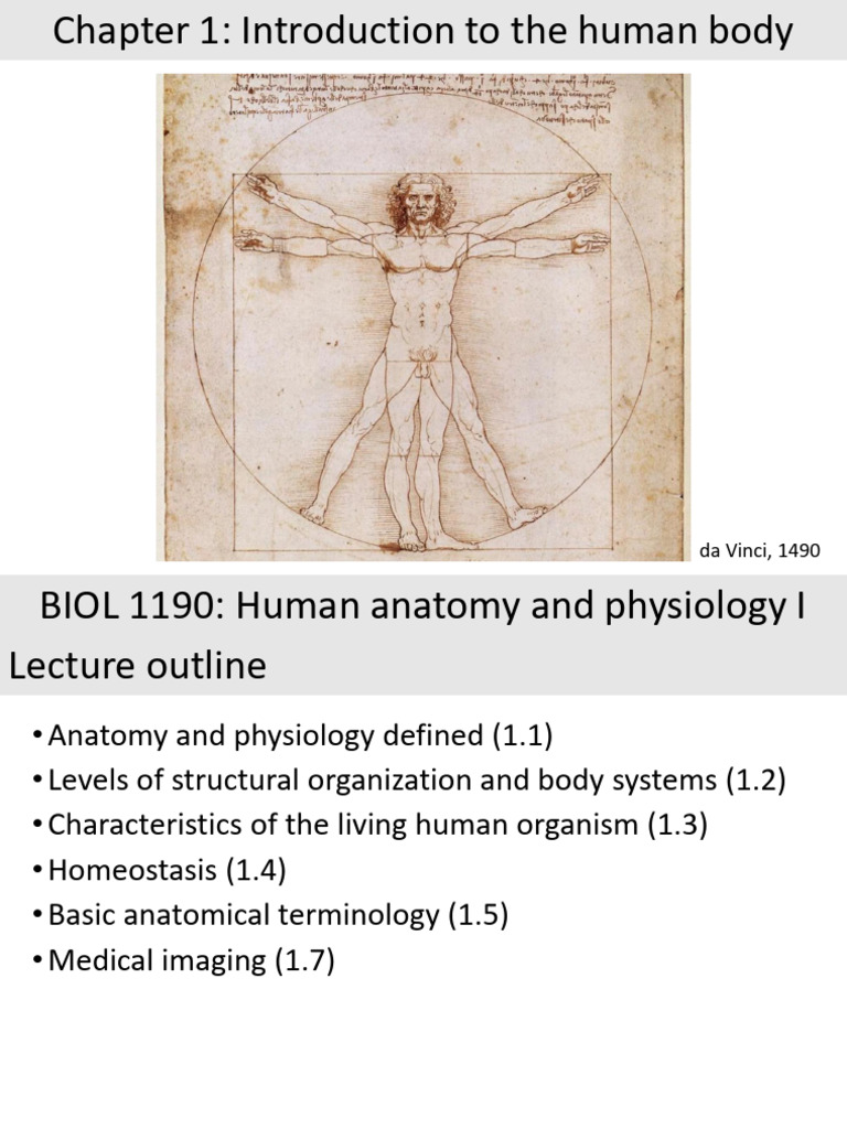 Chapter 1 - Introduction To The Human Body | PDF | Human Body | Peritoneum