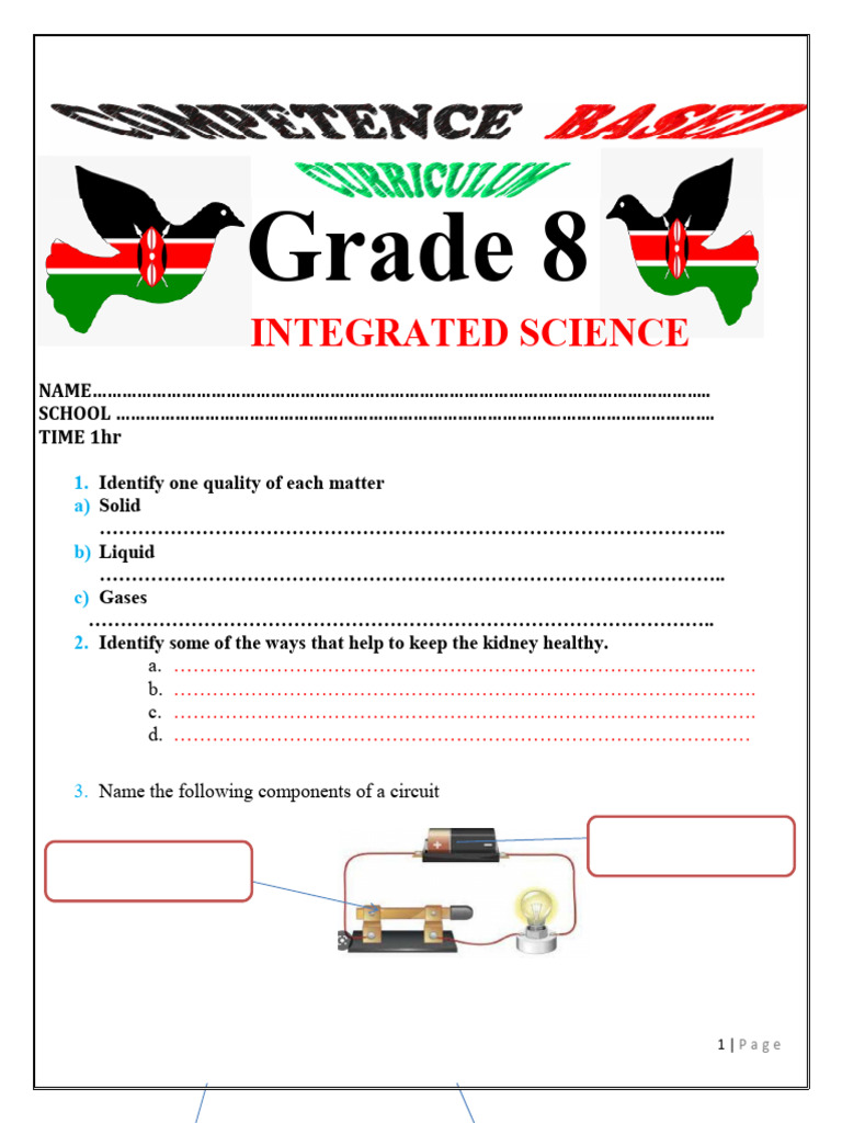 Grade 8 Integrated Qs | PDF