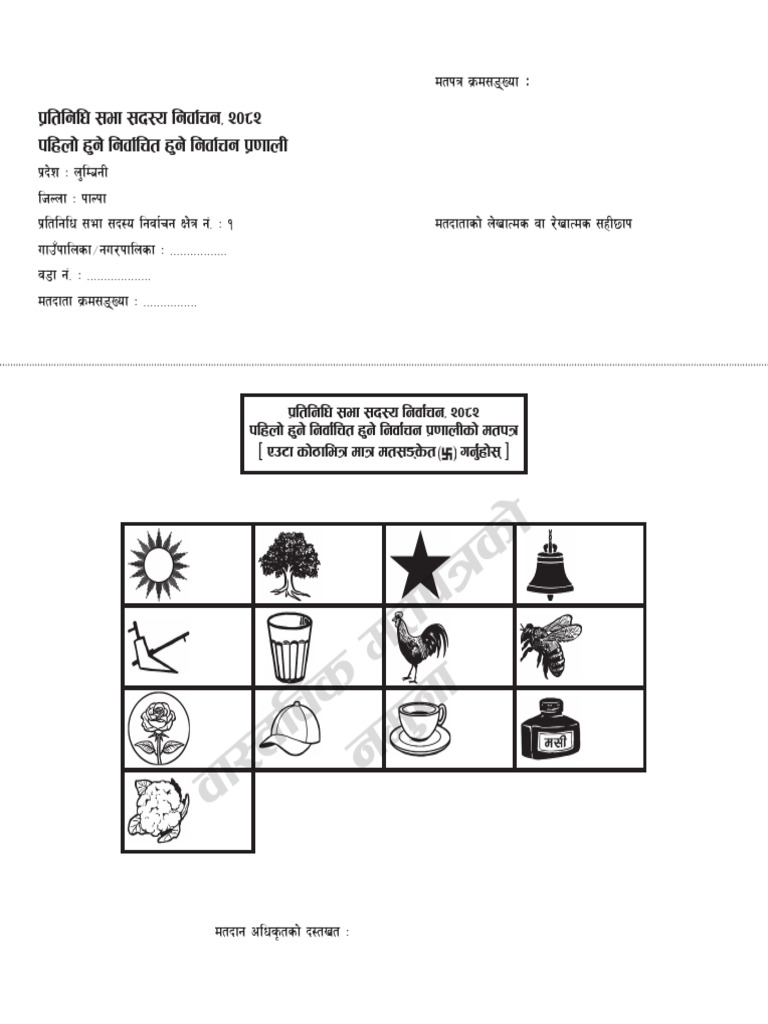Palpa 1nn | PDF
