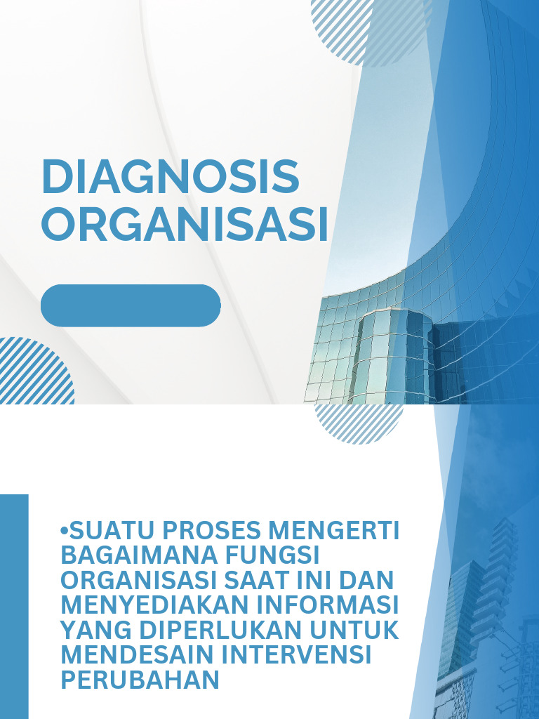 Diagnosis Organisasi | PDF