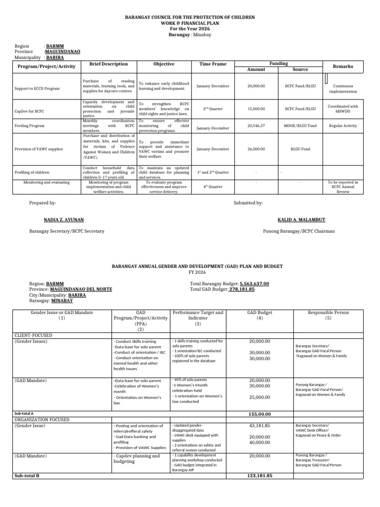 Budget Plan 2026 Minabay | PDF | Emergency Management