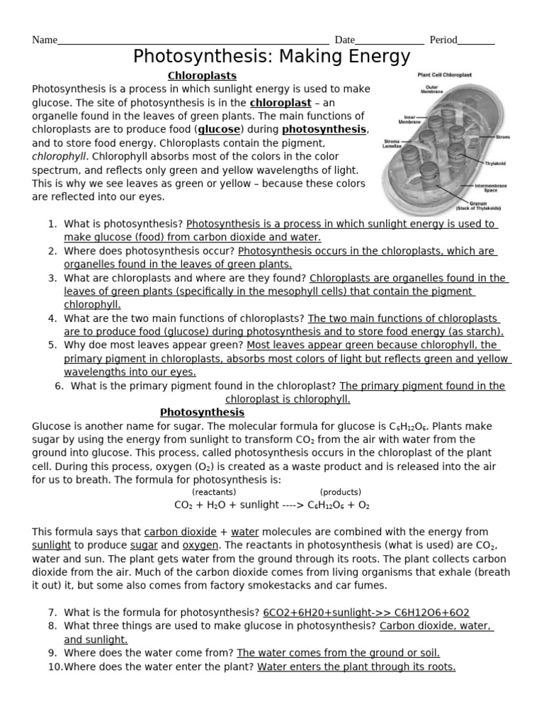 Photosynthesis Worksheet Answers 2.11.26 | PDF | Cellular Respiration ...