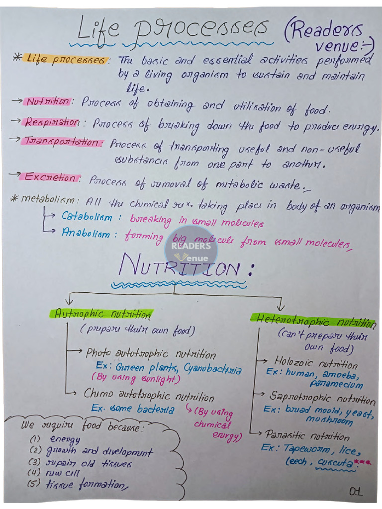Life Process Notes Class 10 Readers Venue - Compressed | PDF