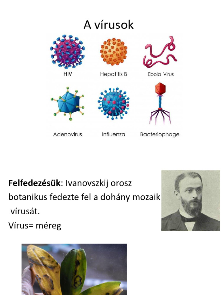 A_virusok | PDF