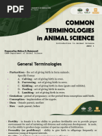 Key Terms in Animal Science | PDF | Sheep | Horse Breeding