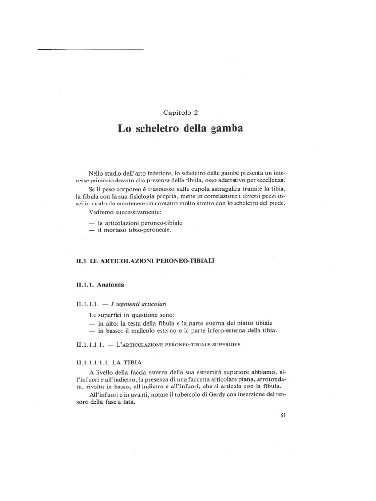 Gamba | PDF