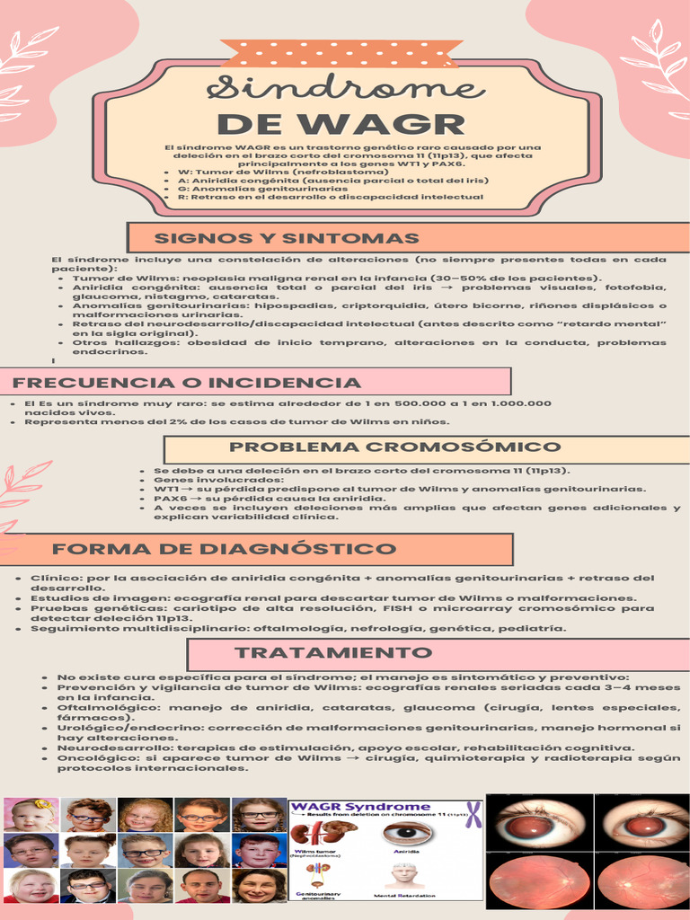 Sindrome de WAGR | PDF | Enfermedades y trastornos | Especialidades Medicas