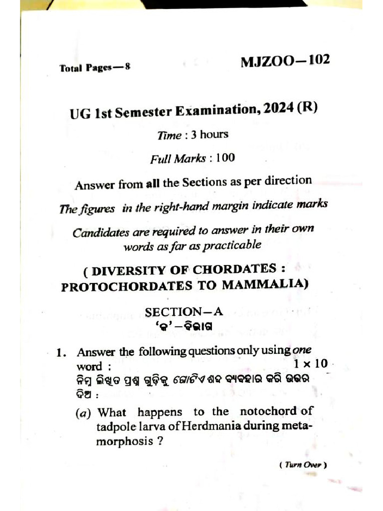 Document 13 | PDF