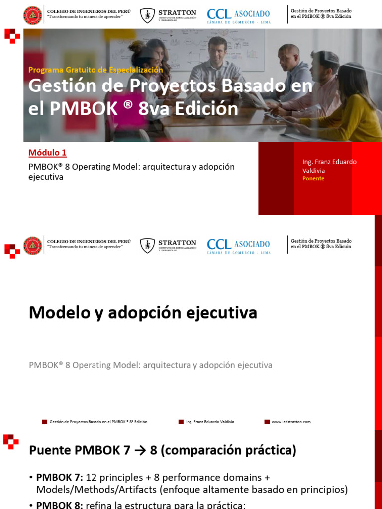 Módulo 01 - Gestión de Proyectos Basado en El PMBOK 8va Edición | PDF ...