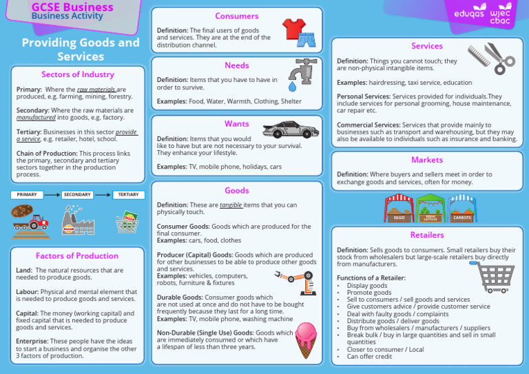 Providing Goods and Services | PDF | Goods | Capital (Economics)