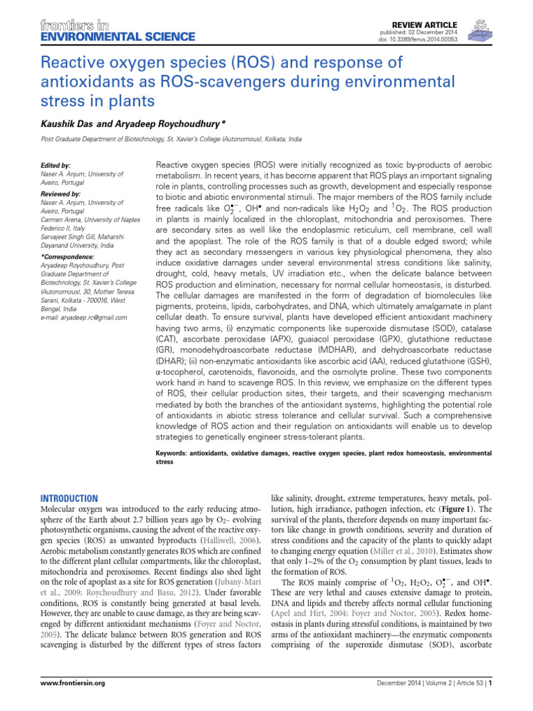 Reactive Oxygen Species ROS and Response of Antiox | PDF | Reactive ...