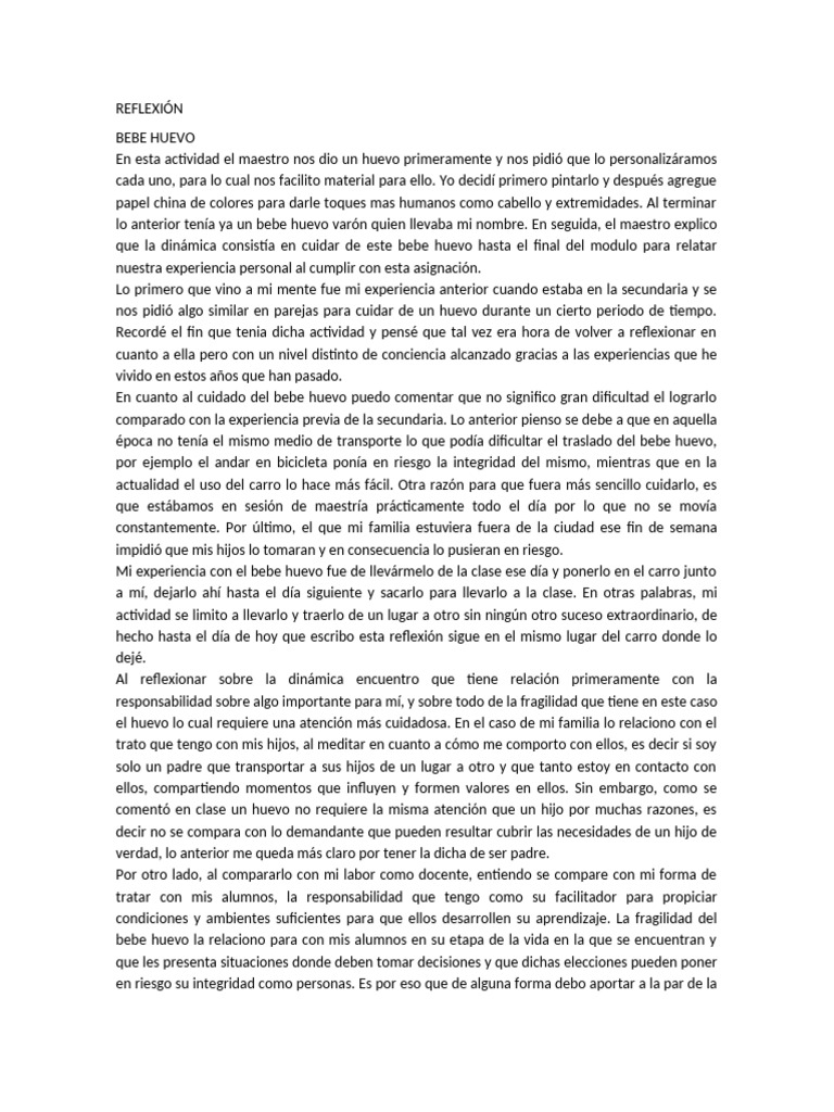 REFLEXIÓN | PDF | Experiencia | Maestros