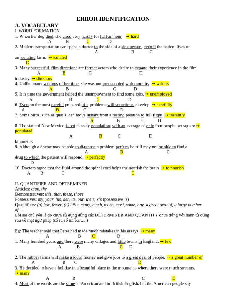 Error Identification Bản Hs | PDF