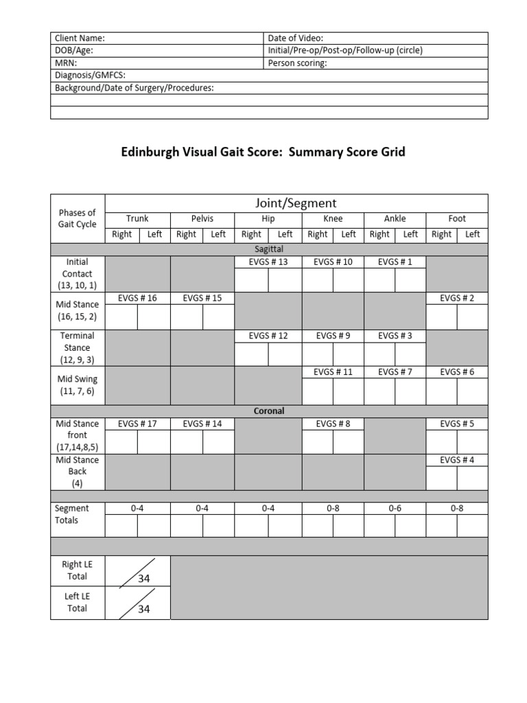 Evgs (Pontuação) | PDF