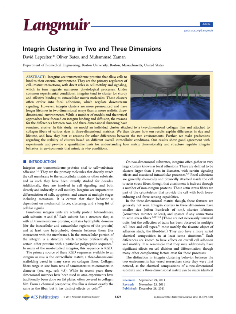 Integrin Clustering in Two and Three Dimensions | PDF | Cell Adhesion ...