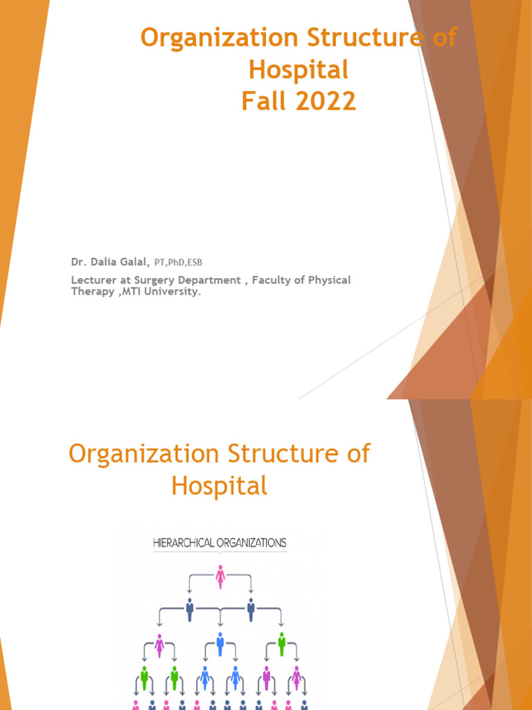 (3) Organization Structure of Hospital | PDF | Hospital | Medicine