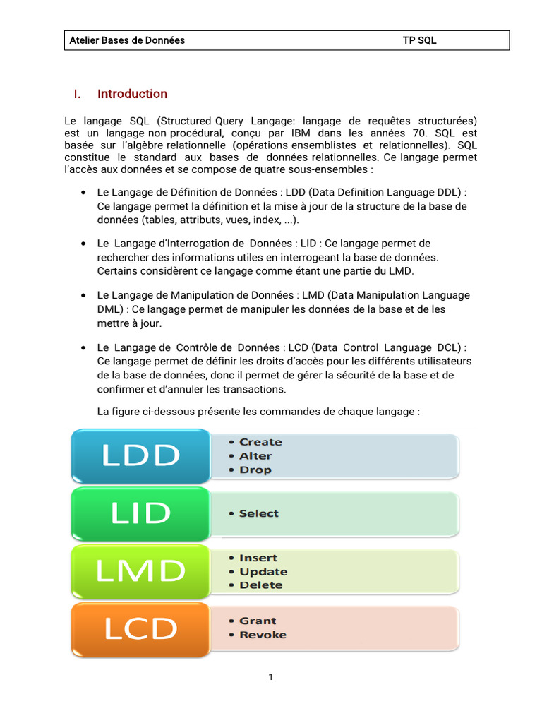 Tp1 Base de Donnée | PDF | SQL | Gestion informatique
