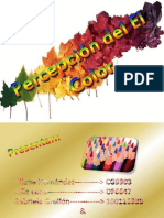 percepciondelcolor-110630092155-phpapp01