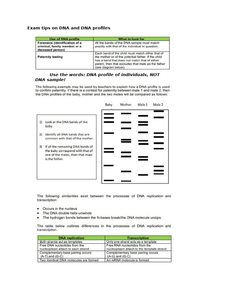 Exam Tips On DNA and DNA Profiles | PDF