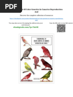 BTO Bird Species Codes List | PDF