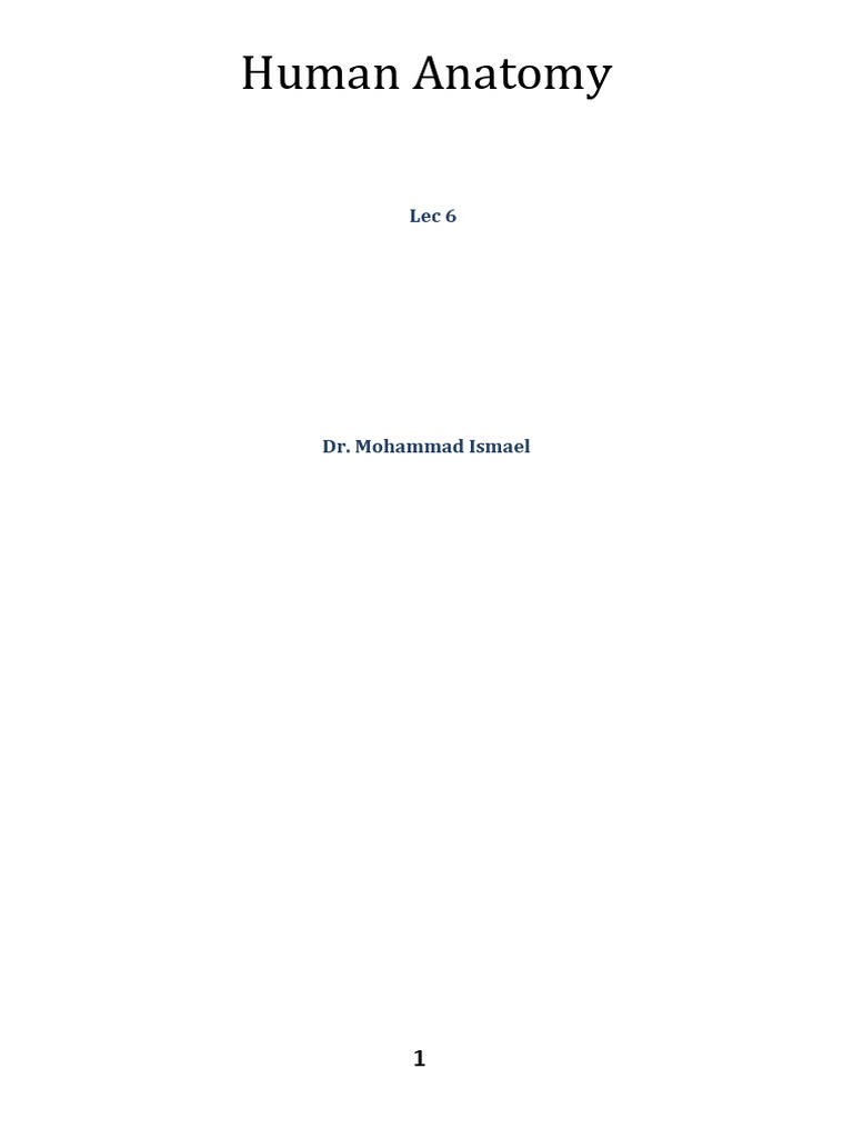 Lec 6. Skull-Cranial Bones pt.2 | PDF | Skull | Otorhinolaryngology