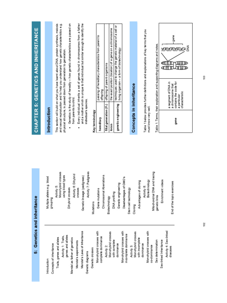 Genetics Core Notes 2024-1 | PDF | Dominance (Genetics) | Allele