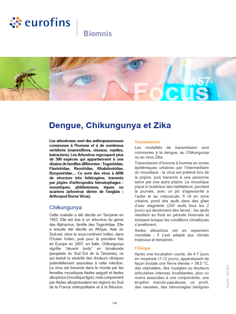 57 Focus Dengue Chikungunya Zika | PDF | Virus Zika | Médecine