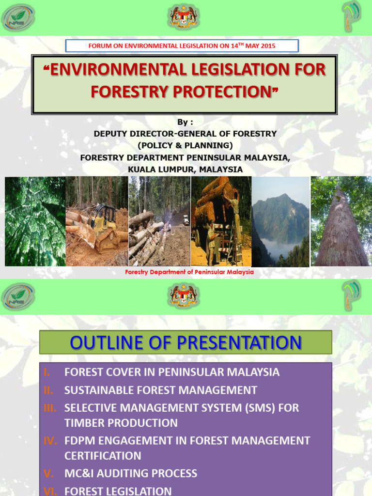 Environmental Legislation For Forestry Protection | PDF | Forest ...