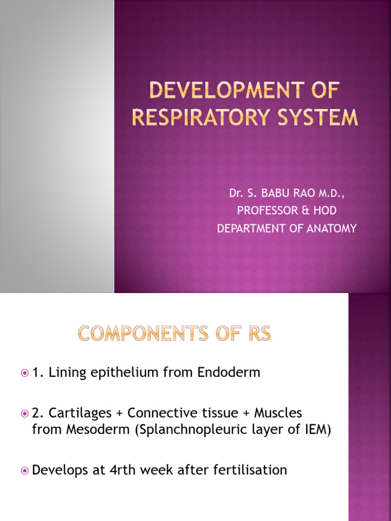 Development of Respiratory System | PDF
