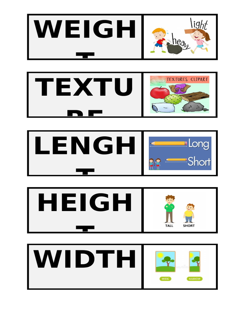 PHysical Characteristics of Objects | PDF