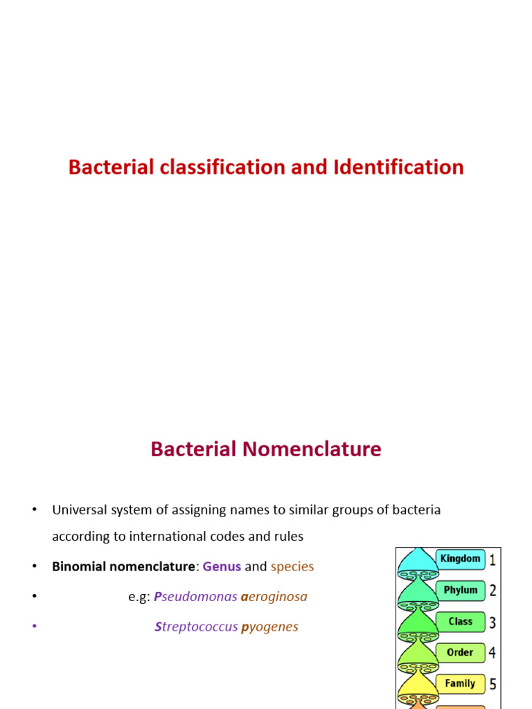 3 Bacterial Classification and Identification Methods 1 | PDF ...