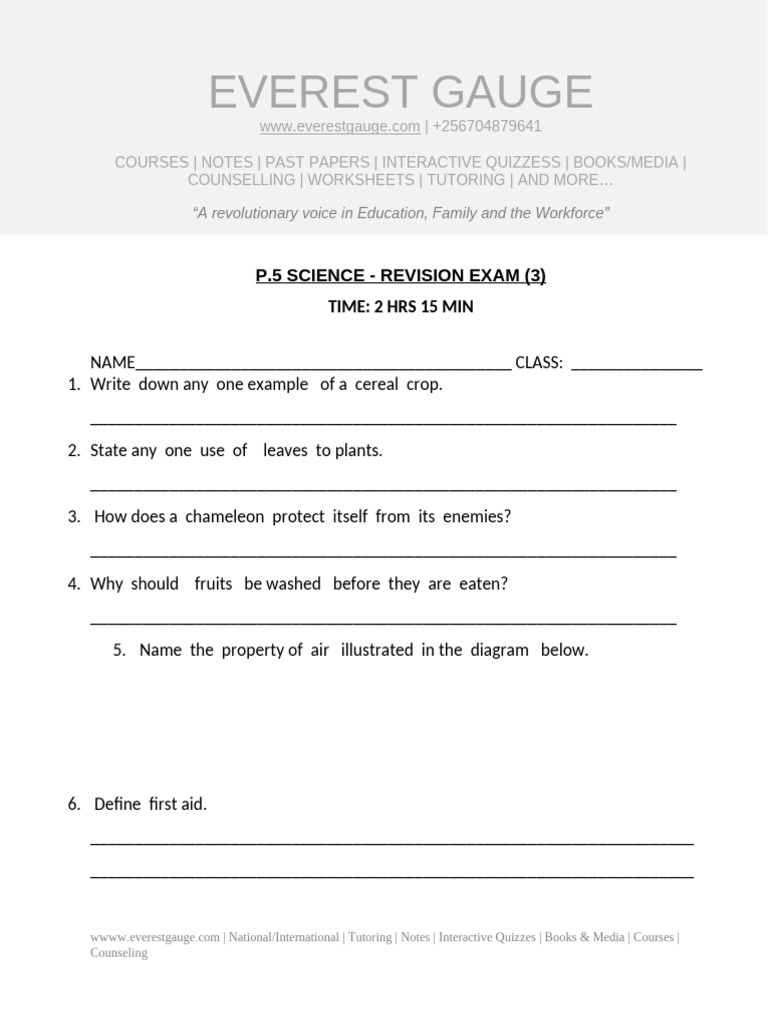 P5 Science Revesion Exam (3) | PDF | Insects | Seed