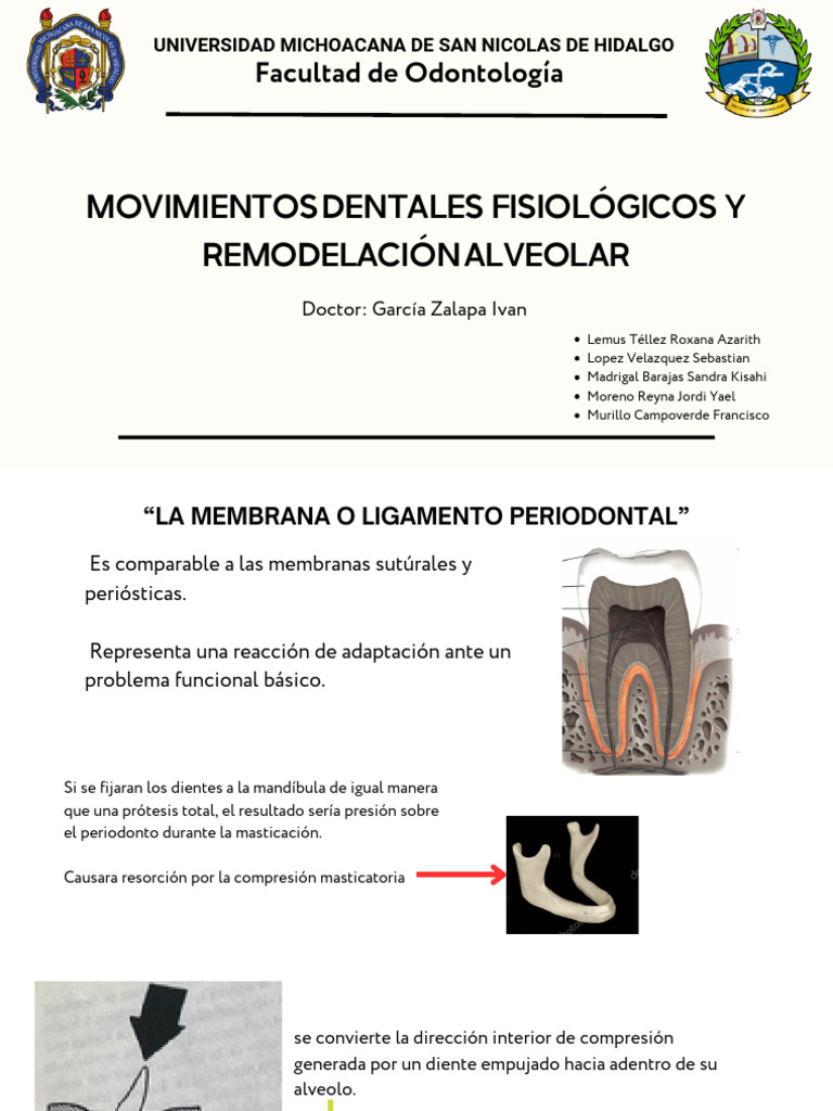 Ortodoncia | PDF | Hueso | Anatomía