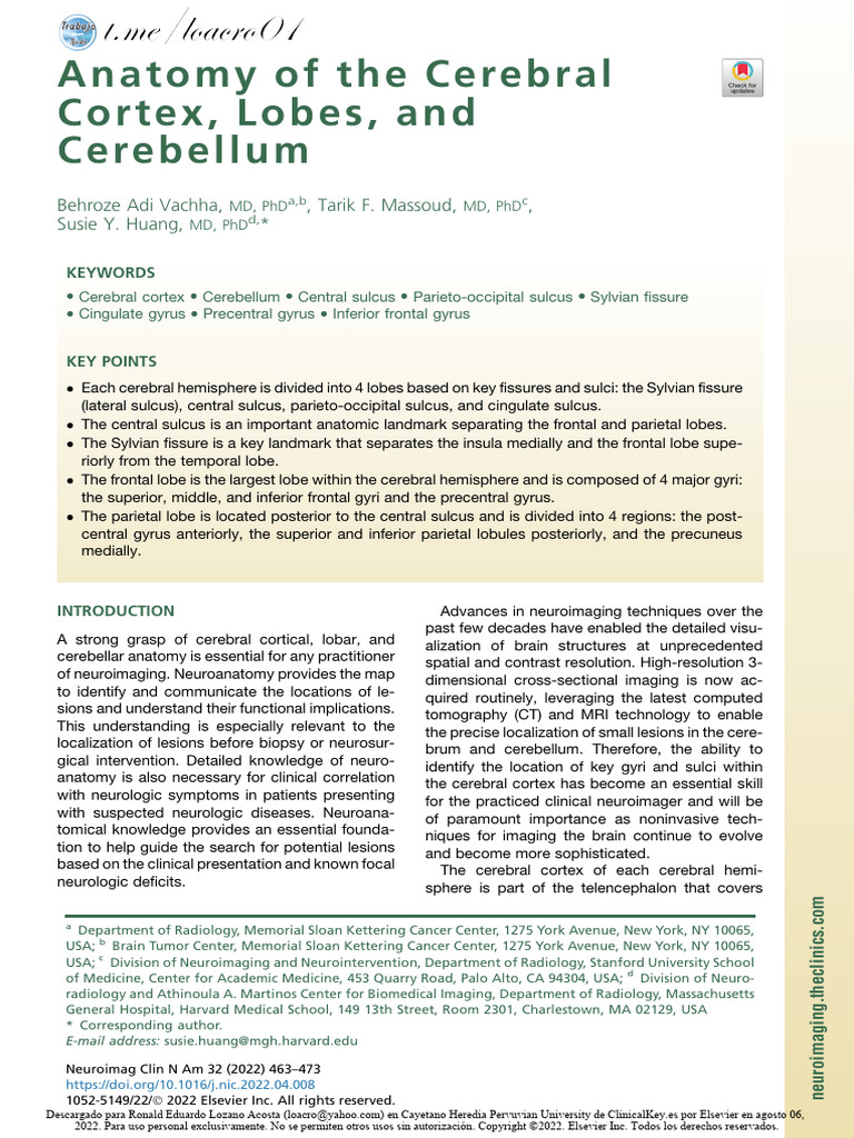 Anatomy of The Cerebral Cortex, Lobes, and Cerebellum | PDF ...
