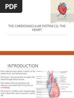Heart Anatomy | PDF