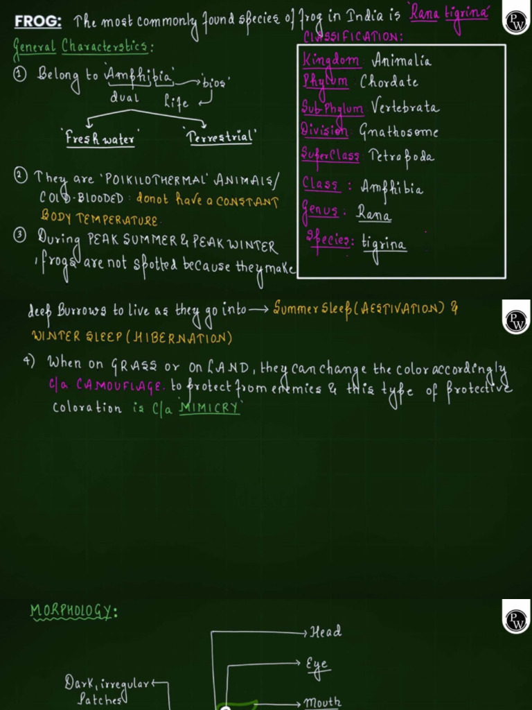Frog and Cockroach | PDF