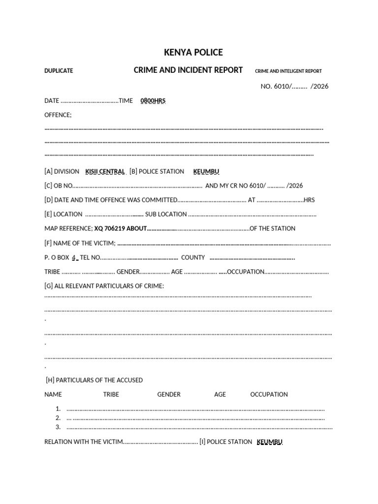 Blank Crime and Incident Form | PDF