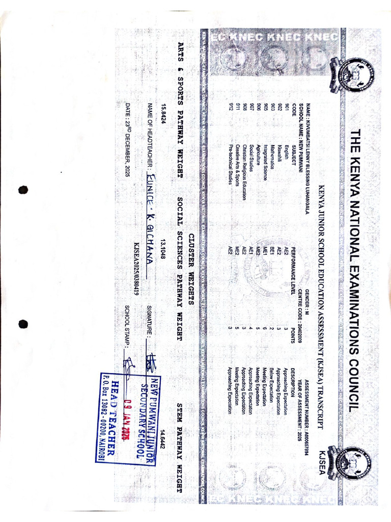 Document 26 | PDF