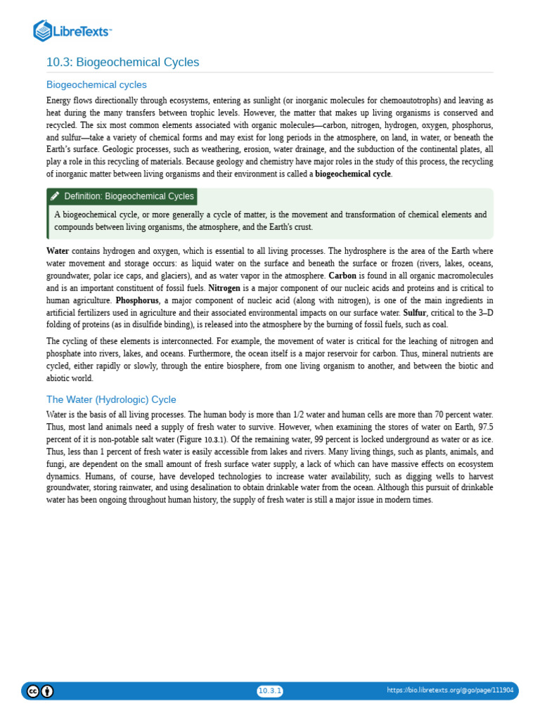 10.3! Biogeochemical Cycles | PDF | Carbon Cycle | Water