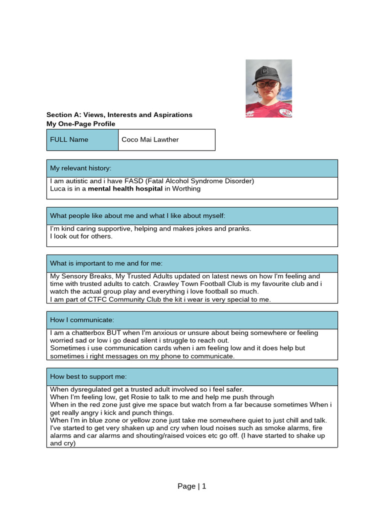 Updated One Page Profile | PDF