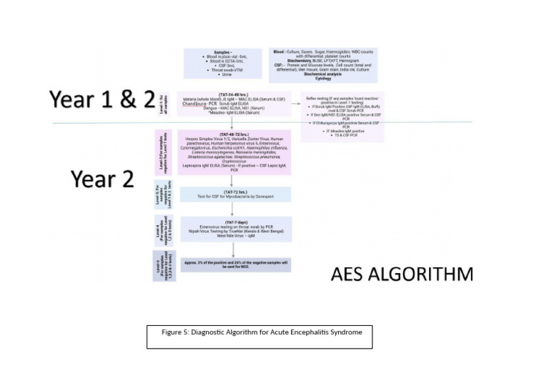 AES Algorithm | PDF