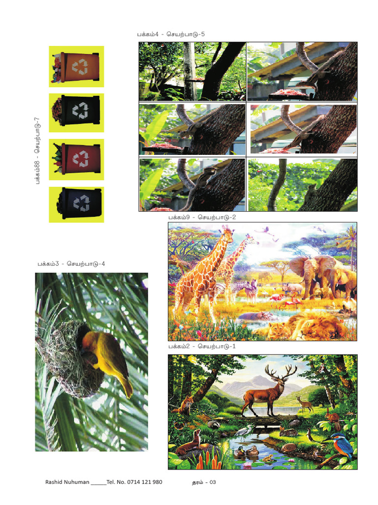 Grade 3 Colour Pictures | PDF