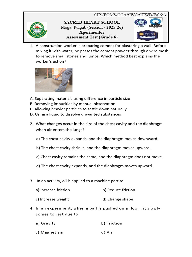 Class - 6 Practical Exam Set D | PDF
