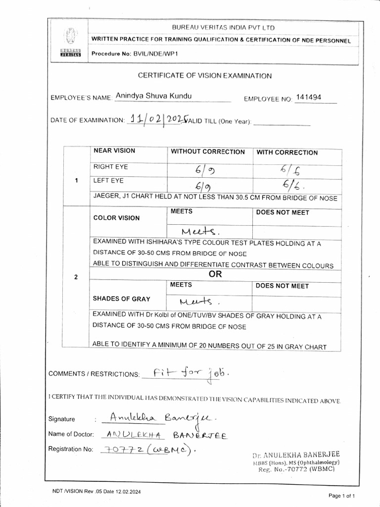 Anindya S Kundu Vision Certificate | PDF
