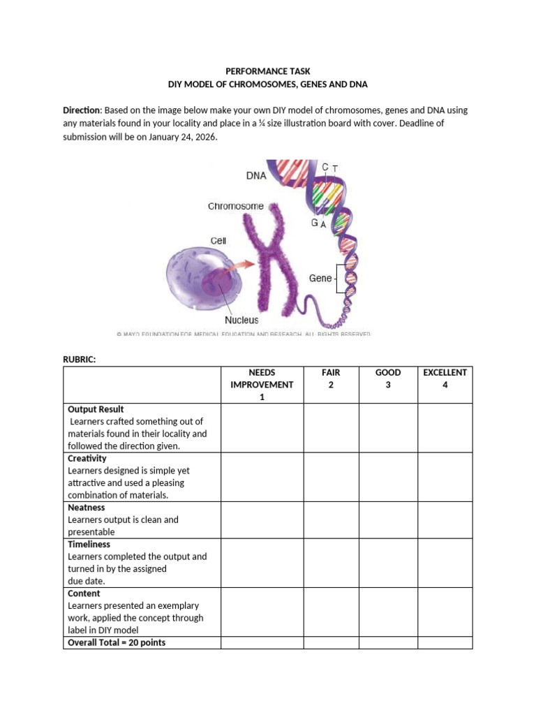Performance Task 3rd Q | PDF