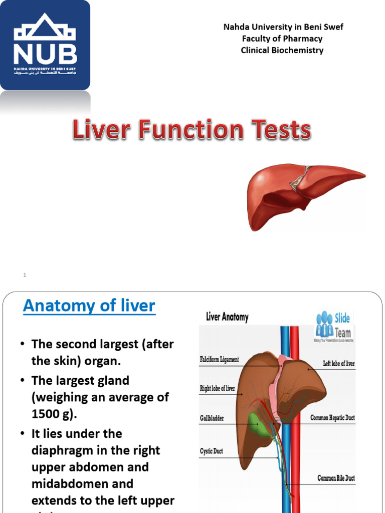 Lecture 5 Liver Function Tests Ce30cf5f01842807633c87b7d9d3e982 | PDF ...
