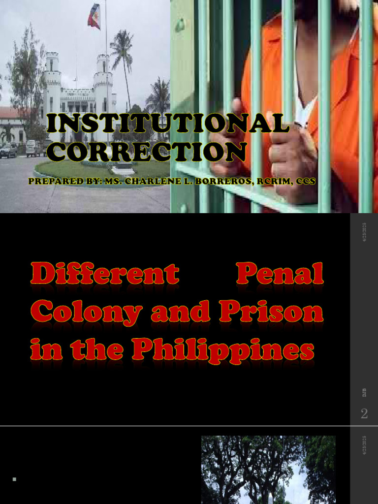 Institutional Correction | PDF | Prison | Prisoner