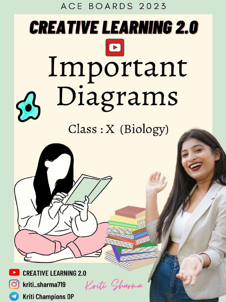 Important Diagrams | PDF