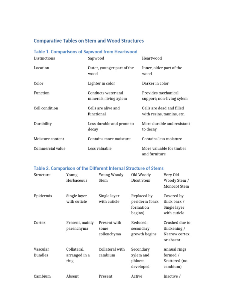 Comparative_Tables_on_Stem_and_Wood_Structures | PDF | Plant Stem | Wood